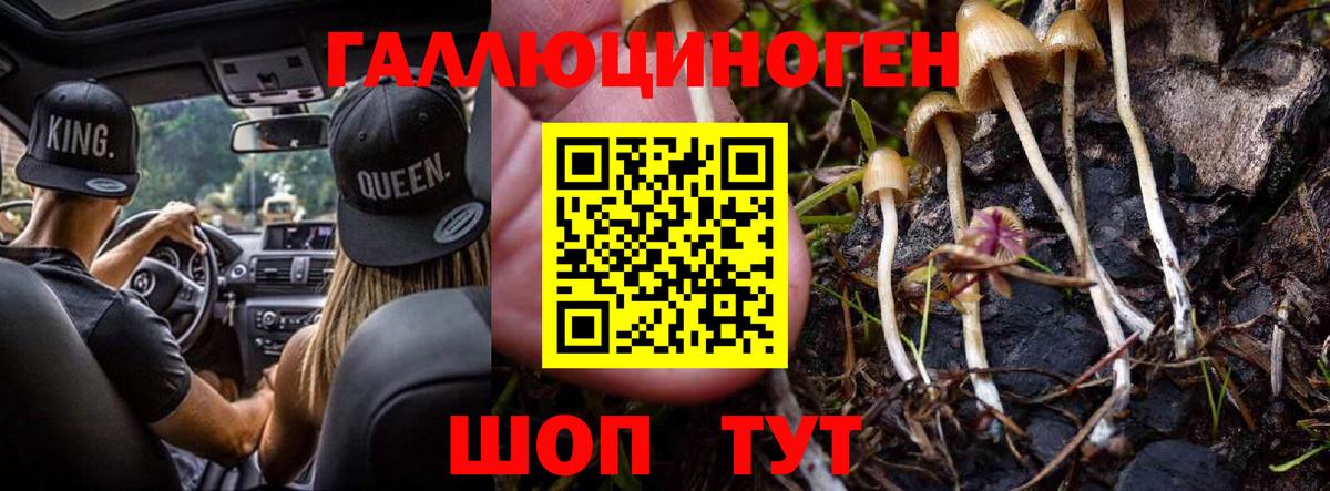 Галлюциногенные грибы прущие грибы  Вход с VPN  Кинель 